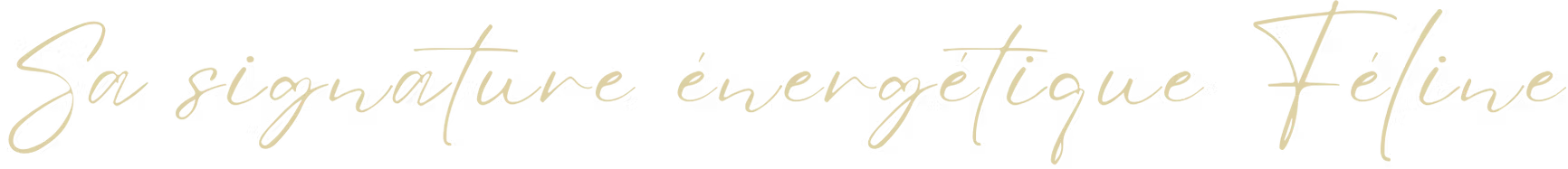 Sa signature énergétique Féline